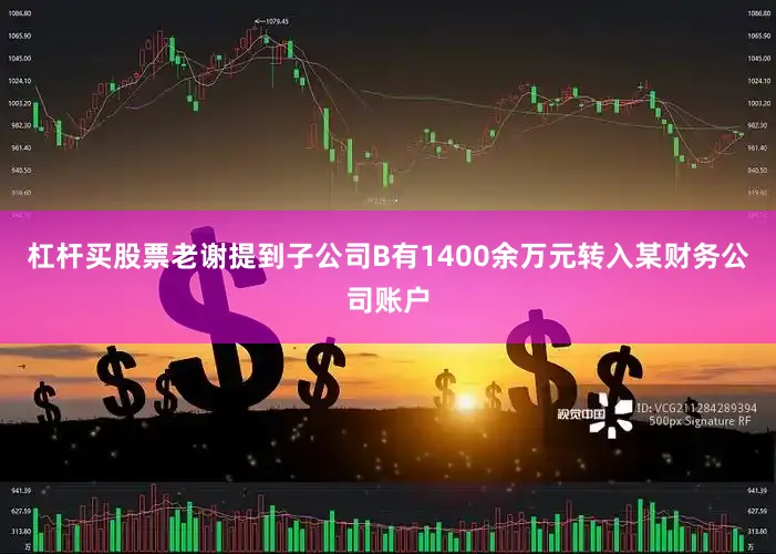 杠杆买股票老谢提到子公司B有1400余万元转入某财务公司账户