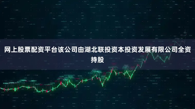 网上股票配资平台该公司由湖北联投资本投资发展有限公司全资持股