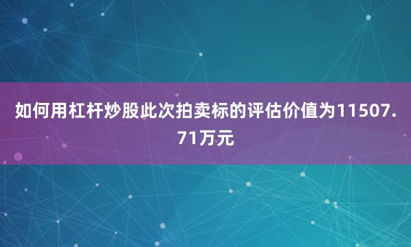 如何用杠杆炒股此次拍卖标的评估价值为11507.71万元