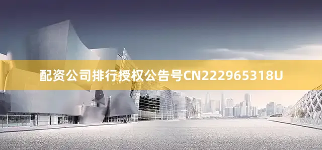配资公司排行授权公告号CN222965318U