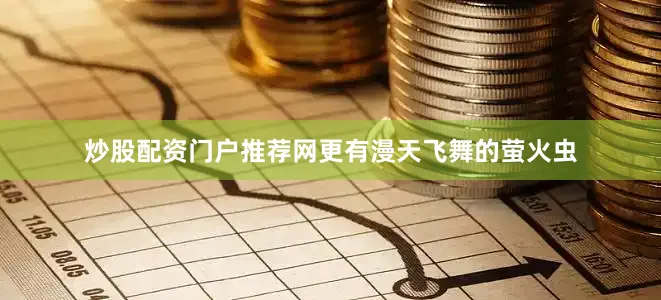 炒股配资门户推荐网更有漫天飞舞的萤火虫