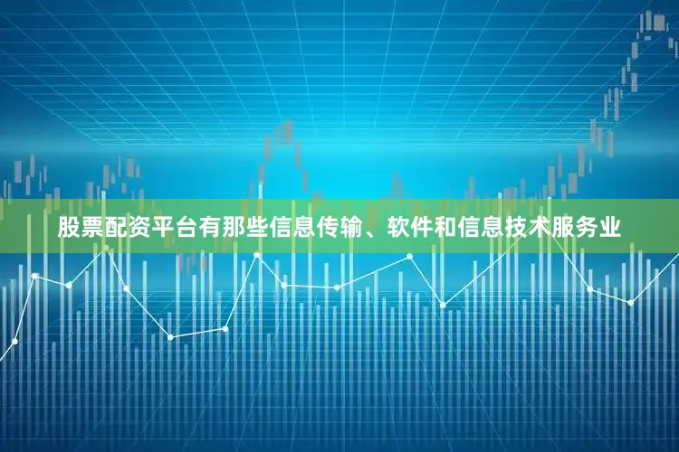 股票配资平台有那些信息传输、软件和信息技术服务业