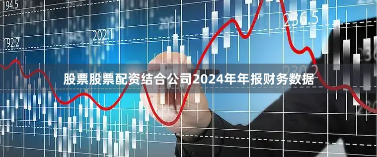 股票股票配资结合公司2024年年报财务数据