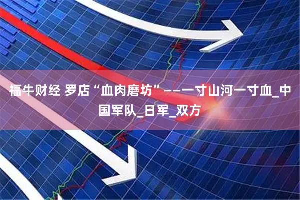 福牛财经 罗店“血肉磨坊”——一寸山河一寸血_中国军队_日军_双方