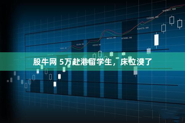 股牛网 5万赴港留学生，床位没了