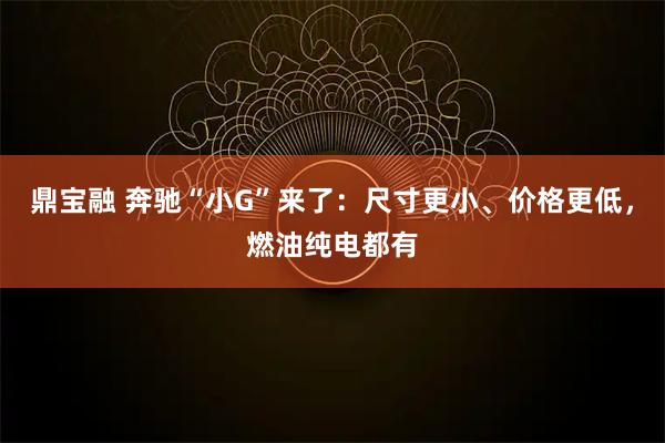 鼎宝融 奔驰“小G”来了：尺寸更小、价格更低，燃油纯电都有
